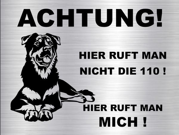 Hundeschild Border Collie