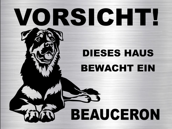 Hundeschild Border Collie