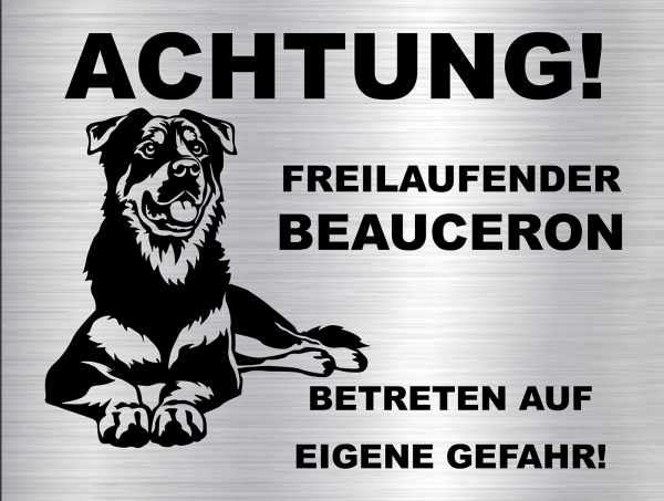 Hundeschild Border Collie