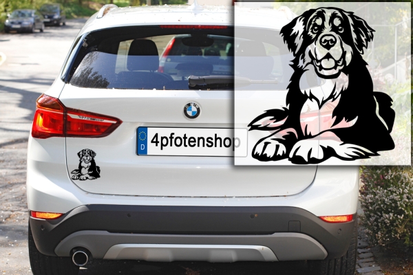 Autoaufkleber "Berner Sennenhund" Kontur