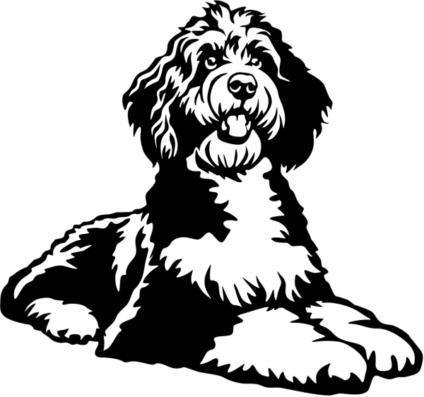 Aufkleber Bernedoodle