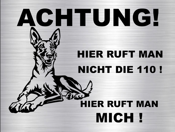 Hundeschild Podenco