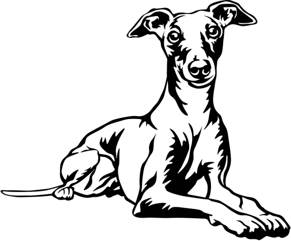 Aufkleber Whippet