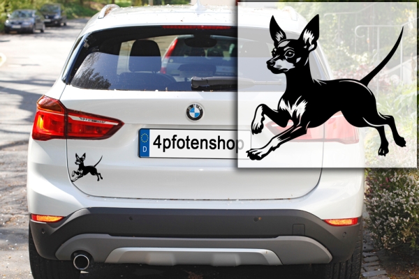 Autoaufkleber "Zwergpinscher" Kontur