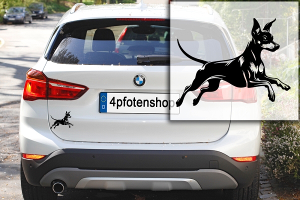 Autoaufkleber "Zwergpinscher" Kontur