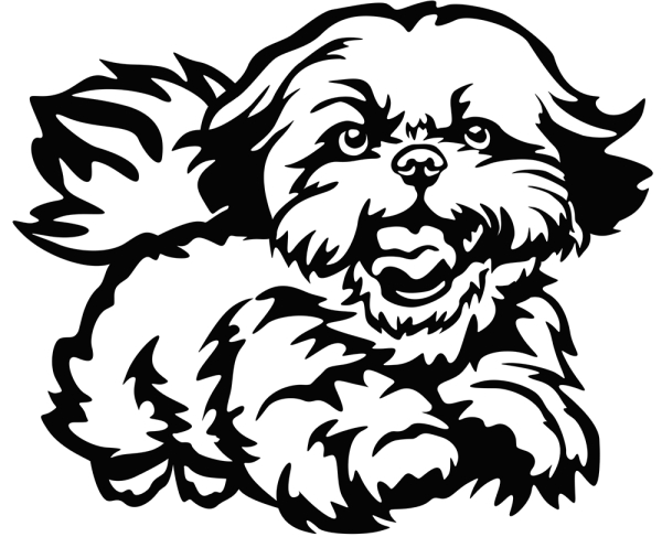 Aufkleber Shih-Tzu