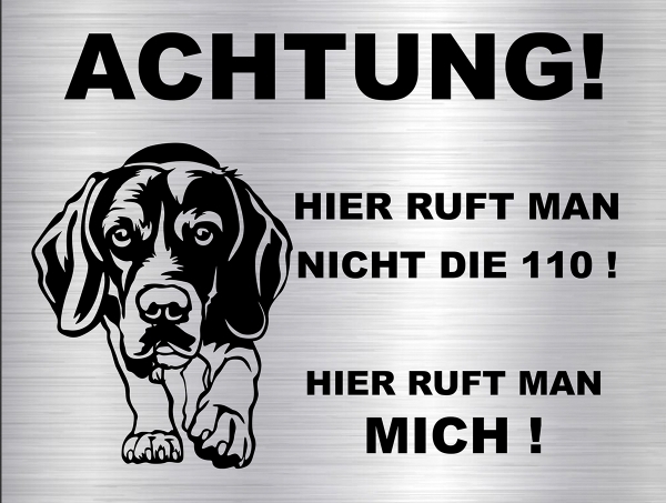 Hundeschild Beagle