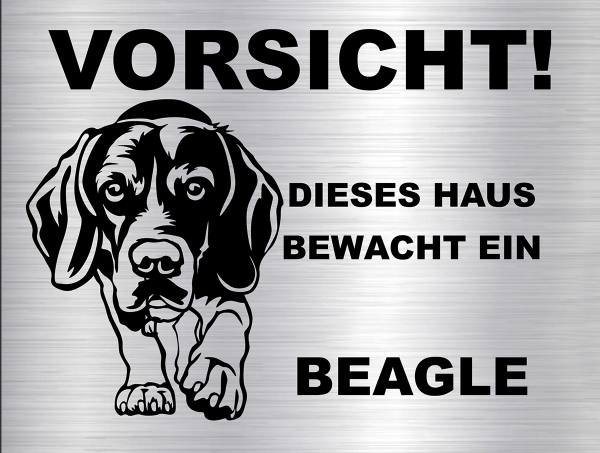 Hundeschild Beagle