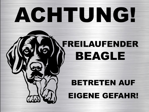Hundeschild Beagle
