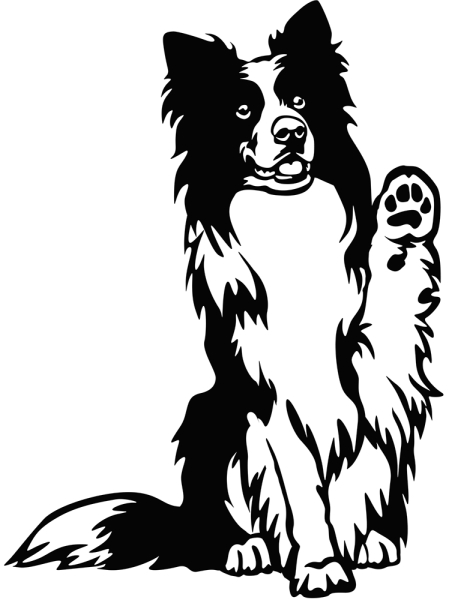 Aufkleber Border Collie