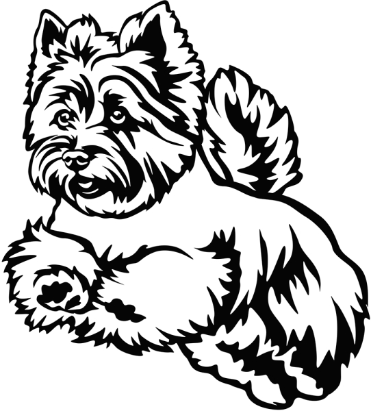 Aufkleber Cairn Terrier