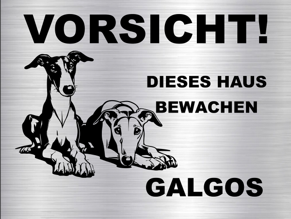 Hundeschild Galgo