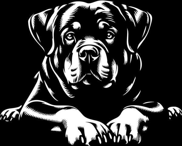 Aufkleber Rottweiler