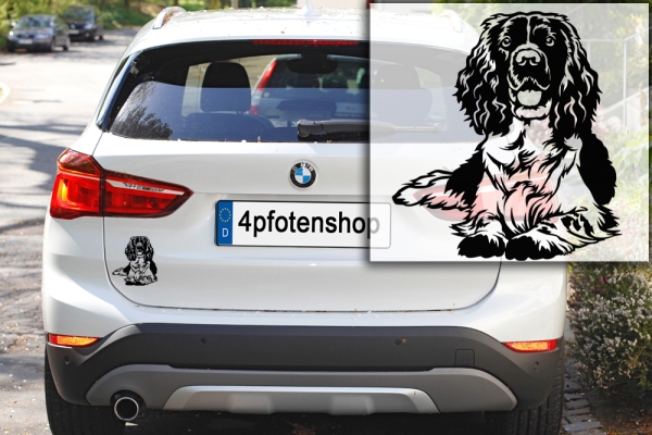 Autoaufkleber "Englischer Springer Spaniel" Kontur