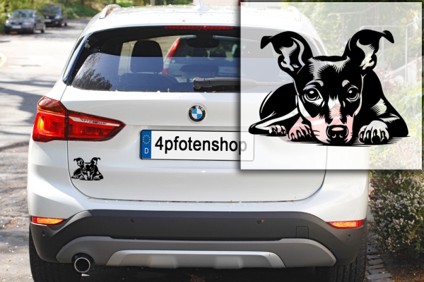 Autoaufkleber "Zwergpinscher" Kontur