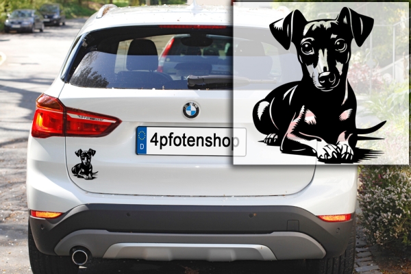 Autoaufkleber "Zwergpinscher" Kontur