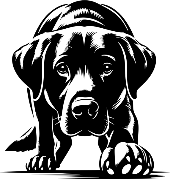 Aufkleber Labrador