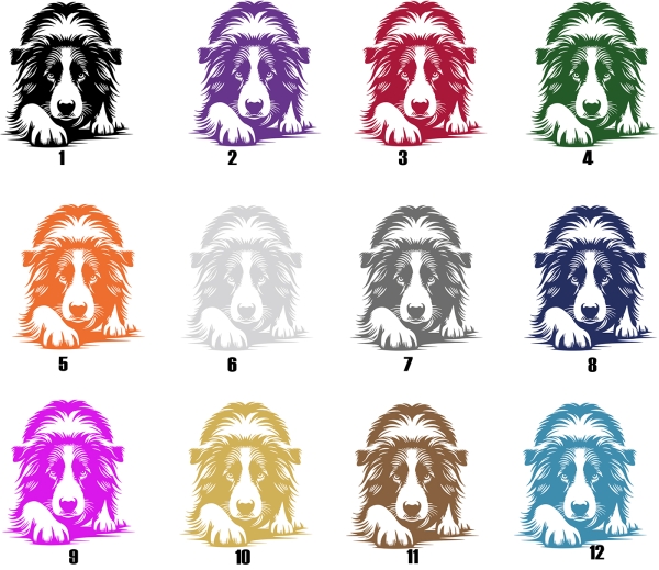 Autoaufkleber "Border Collie" Kontur