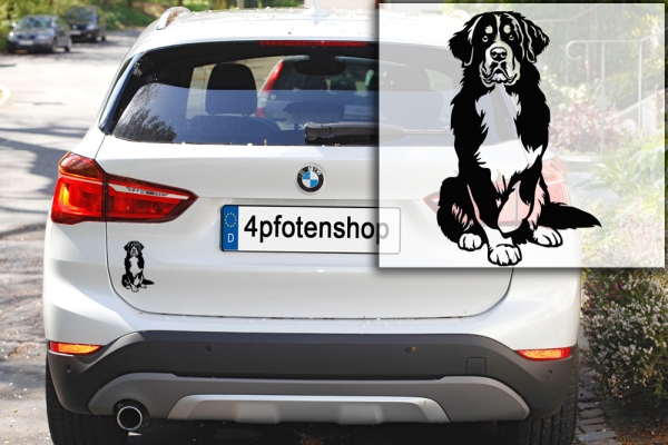 Autoaufkleber "Berner Sennenhund" Kontur