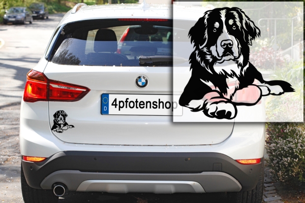 Autoaufkleber "Berner Sennenhund" Kontur