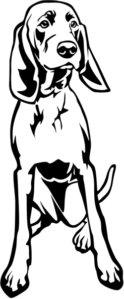 Aufkleber Redbone Coonhound