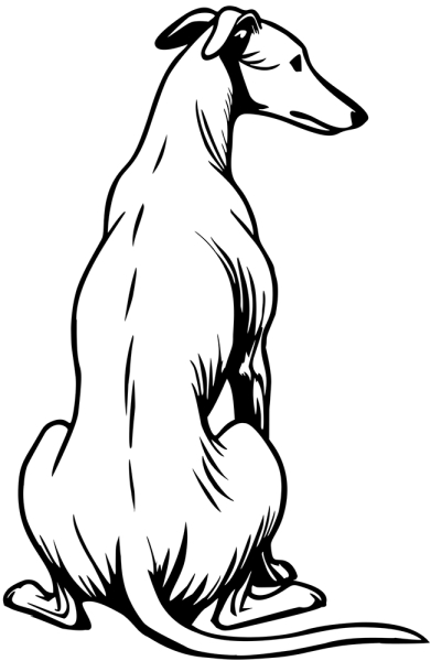 Galgo rennend Silhouette