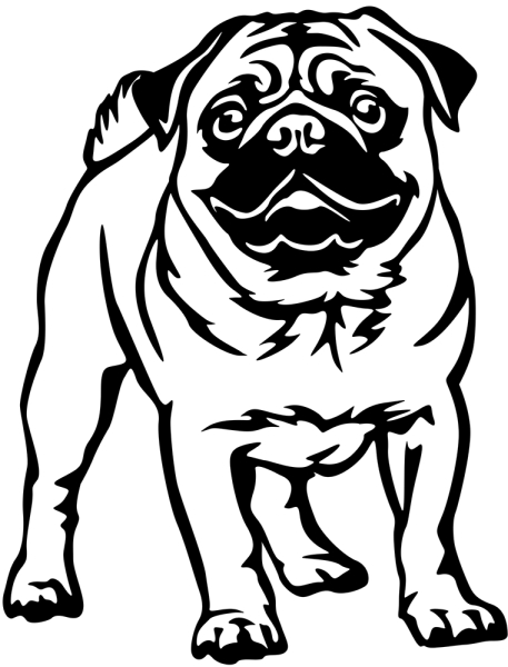 Aufkleber Mops