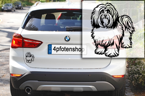 Autoaufkleber "Havaneser" Kontur