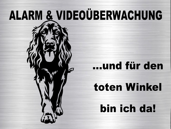 Hundeschild Irish Setter