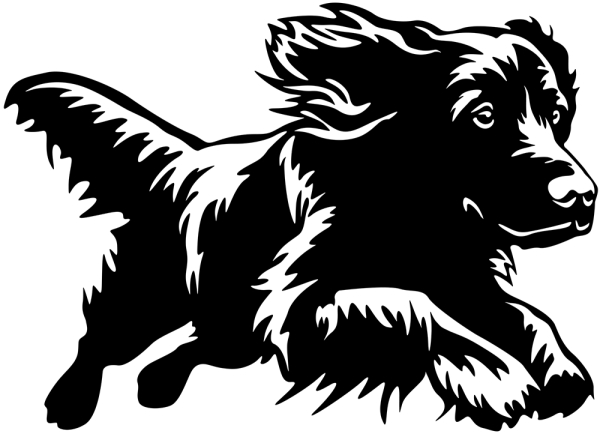 Aufkleber Boykin Spaniel