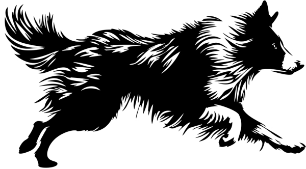 Aufkleber Border Collie
