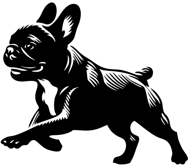 Aufkleber Französische Bulldogge