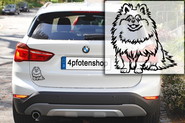 Autoaufkleber "Zwergspitz (Pomeranian)" Kontur