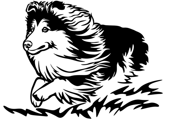 Aufkleber Sheltie