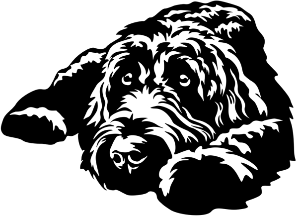 Aufkleber Labradoodle
