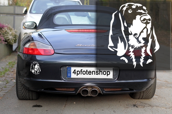 Autoaufkleber "Black and Tan Coonhound" Kopf