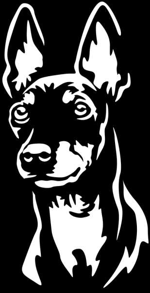 Aufkleber English Toy Terrier Kopf