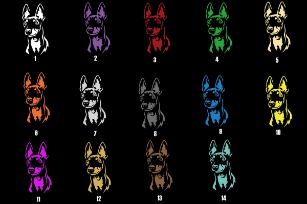 Autoaufkleber "English Toy Terrier" Kopf