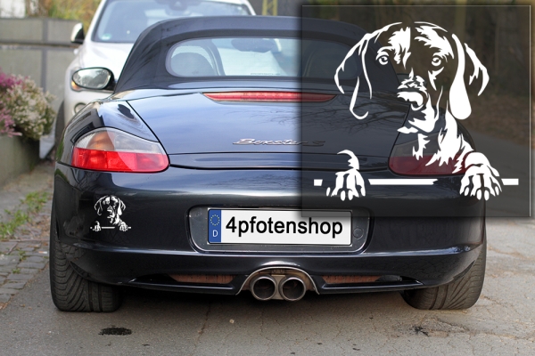 Autoaufkleber "Magyar Vizsla" Kopf