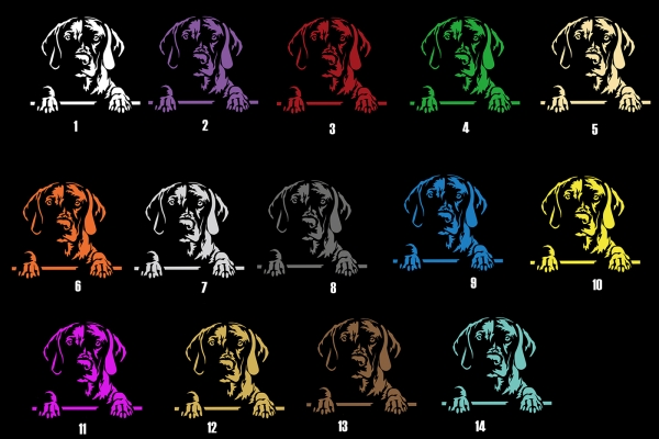 Autoaufkleber "Magyar Vizsla" Kopf