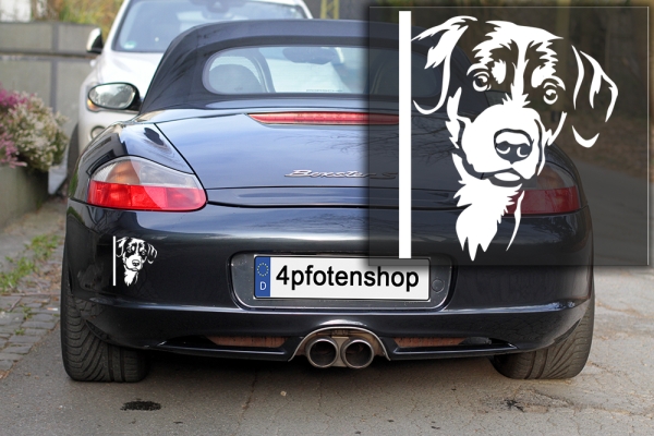 Autoaufkleber "Appenzeller" Kopf