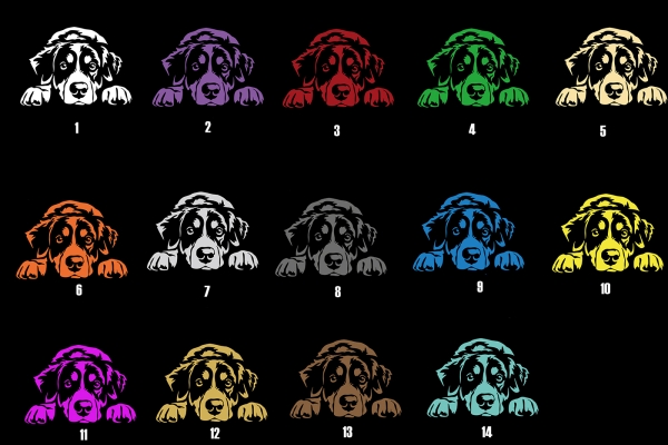 Autoaufkleber "Appenzeller" Kontur