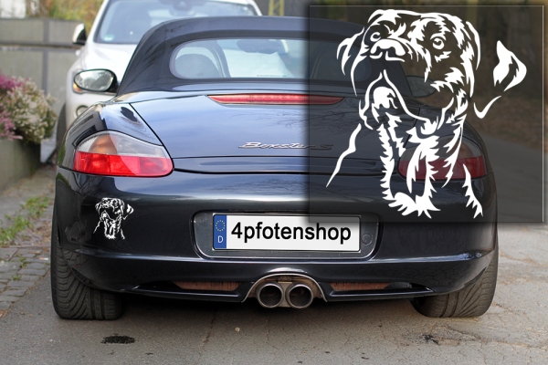 Autoaufkleber "Presa Canario" Kopf