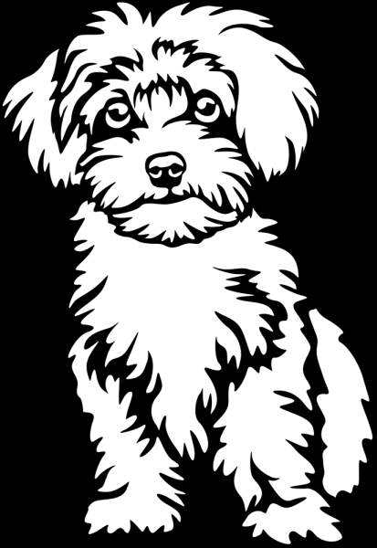 Aufkleber Maltipoo