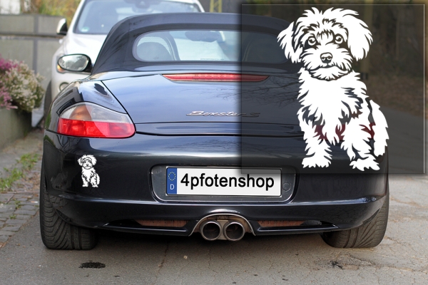 Autoaufkleber "Maltipoo" Kontur
