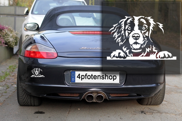 Autoaufkleber "Epagneul Breton" Kopf