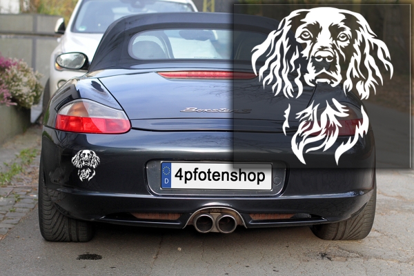 Autoaufkleber "Boykin Spaniel" Kopf