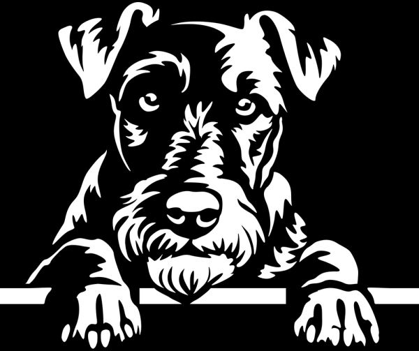 Aufkleber Irish Terrier Kopf