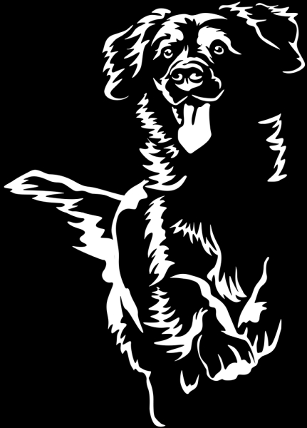 Aufkleber Duck Tolling Retriever