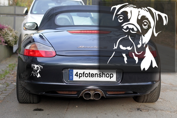 Autoaufkleber "Boxer" Kopf
